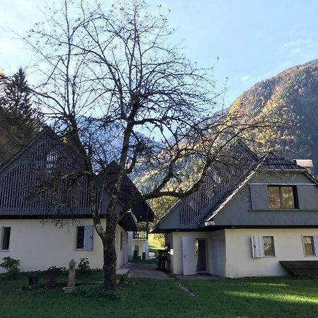 Cozy Cottage In The Heart Of The Triglav National Park Soča Kültér fotó