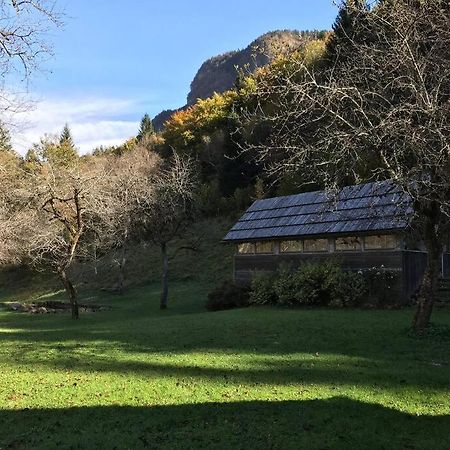 Cozy Cottage In The Heart Of The Triglav National Park Soča Kültér fotó