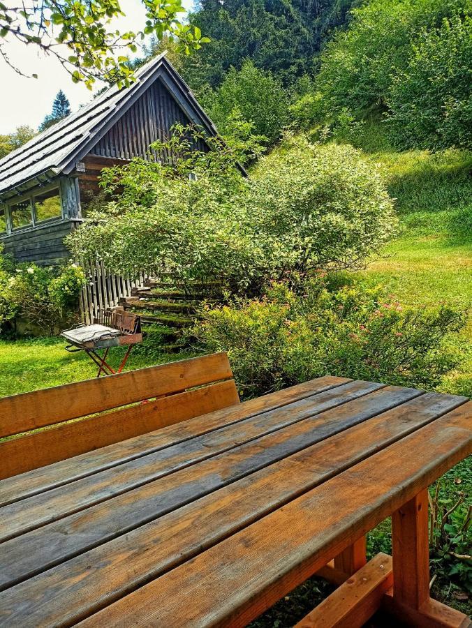 Cozy Cottage In The Heart Of The Triglav National Park Soča Kültér fotó